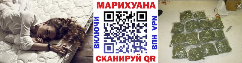 Конопля сатива Кизляр